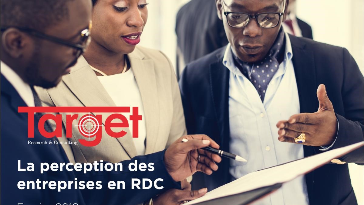 The perception of companies in the DRC